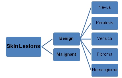 skin lesions